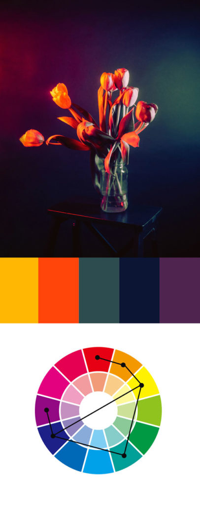 Beispiel Komplementärfarben Tetradisches Farbschema Design Fotografie